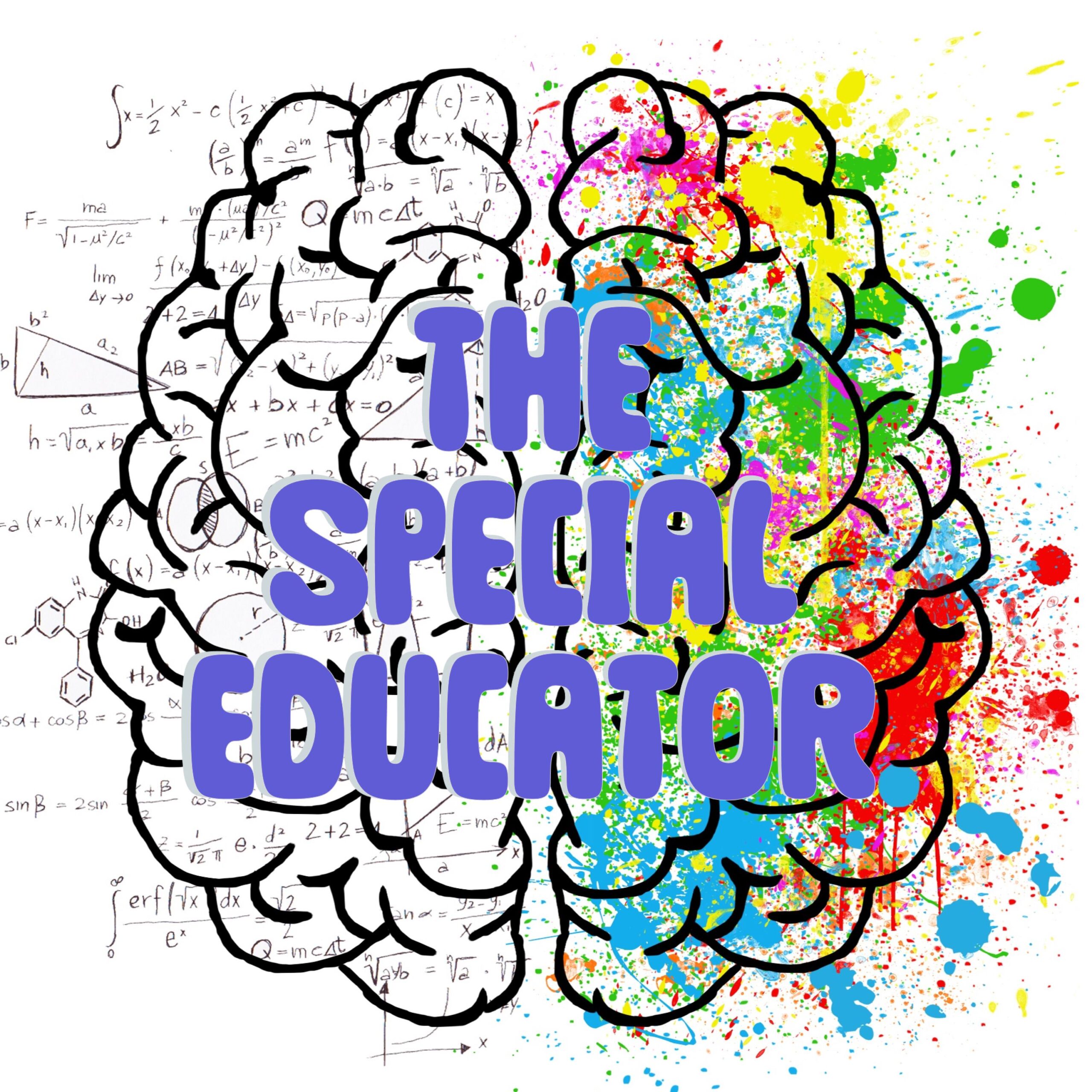 The Special Educator
